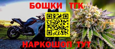индика Мариинск