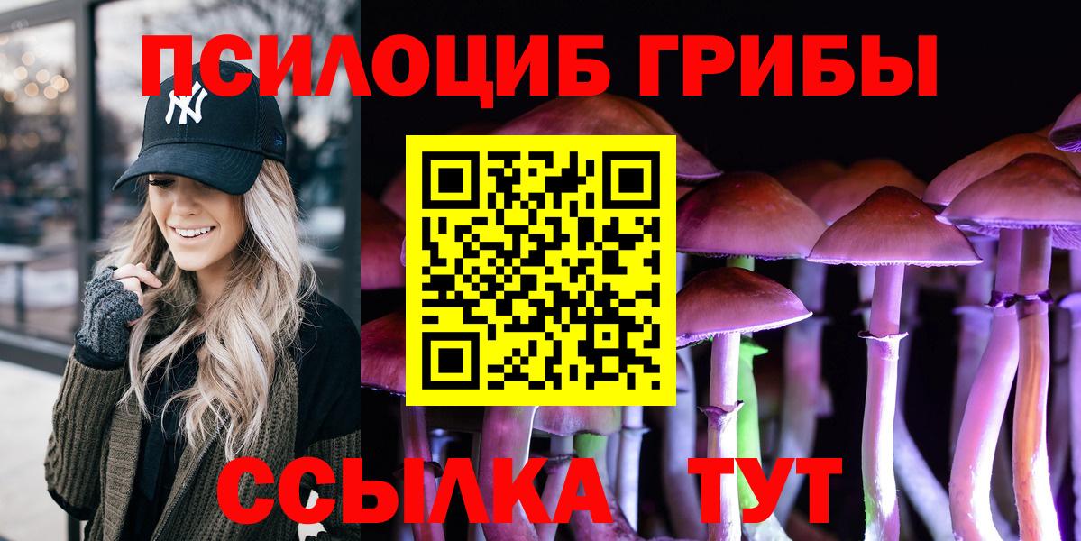 Белая Калитва  Псилоцибиновые грибы ЛСД  Вход с VPN  Галлюциногенные грибы Psilocybe 