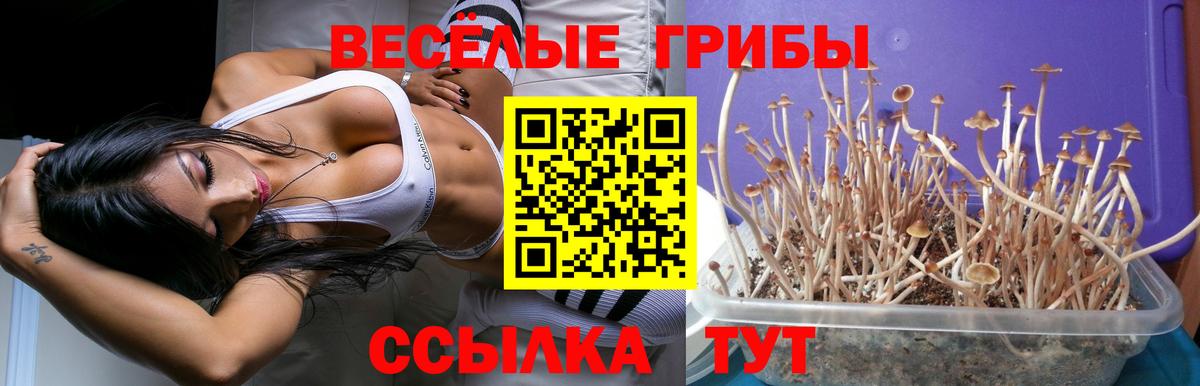 Псилоцибиновые грибы прущие грибы Белая Калитва